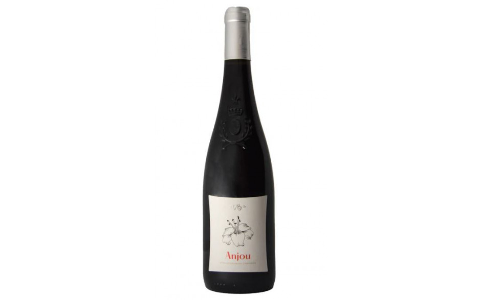 Domaine des Forges Anjou rouge